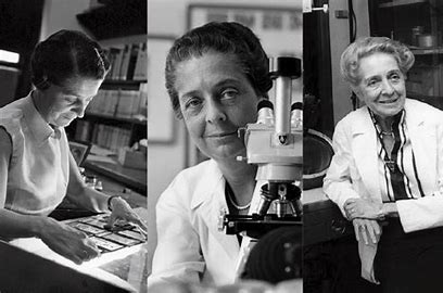 Rita Levi Montalcini1